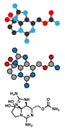 Saxitoxin (STX) paralytic shellÃ¯Â¬Âsh toxin (PST) molecule